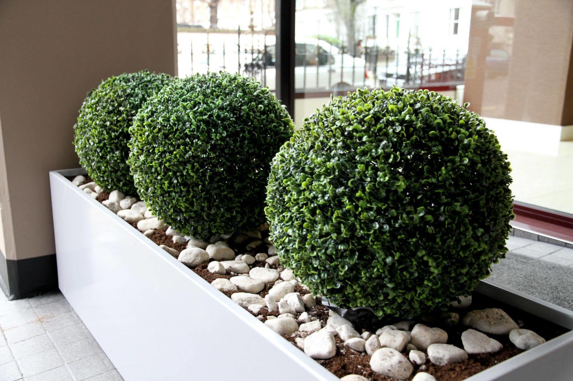 Hotel Lily London Bagian luar foto
